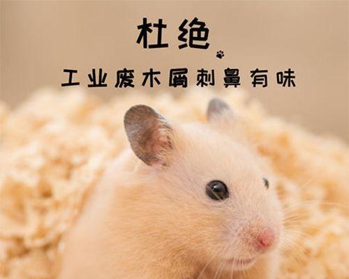 仓鼠窝木屑更换频率的正确选择（科学养护仓鼠床铺，关键在于合理掌握更换频率）