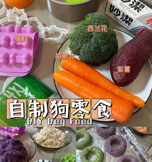 狗狗的零食喂养频率（探讨狗狗零食喂养频率对其健康的影响）