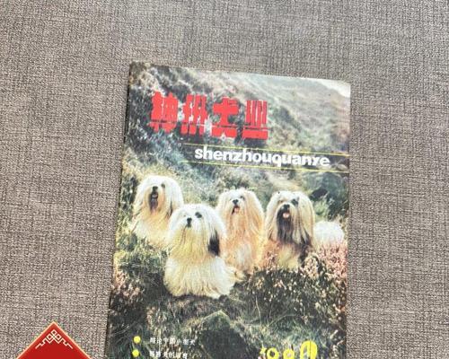 小型导盲犬（为弱势群体引领出一条光明之路）