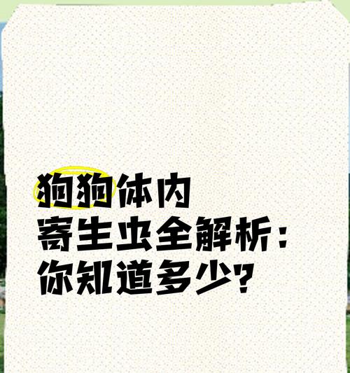 狗狗体内寄生虫病（探索狗狗体内常见寄生虫病及其防治方法）