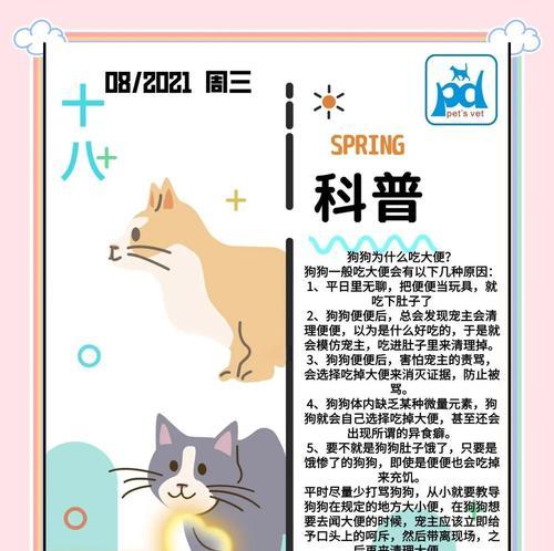 狗狗的排便时间（掌握狗狗排便的时间规律，助你做好宠物护理）