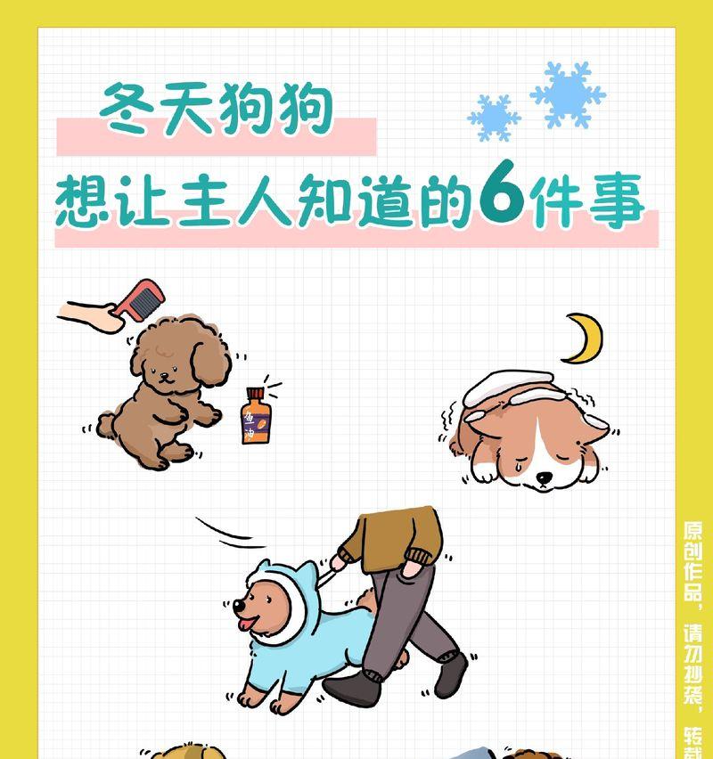 狗狗冬天怕冷吗？保暖工作不可忽视！（冬季狗狗保暖攻略，）