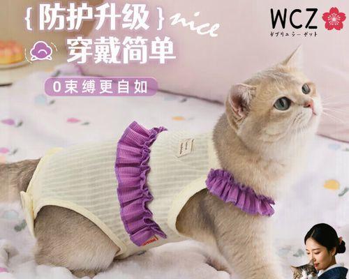 猫绝育手术服穿多久？（解答猫咪穿绝育手术服的时间和注意事项）