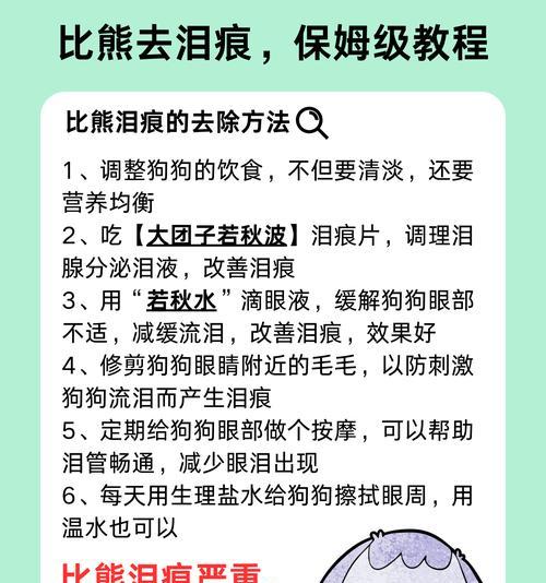 缓解狗狗泪腺问题的有效方法